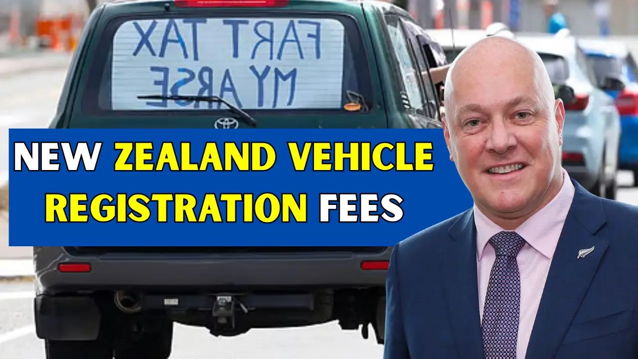 New Zealand Vehicle Registration Fees